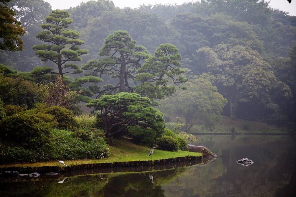 Tora Hotel Tokyo-Rikugienn 寅ホテル 六義園 A Ngoại thất bức ảnh